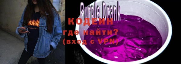 соль ск Верхний Тагил