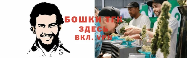 соль ск Верхний Тагил